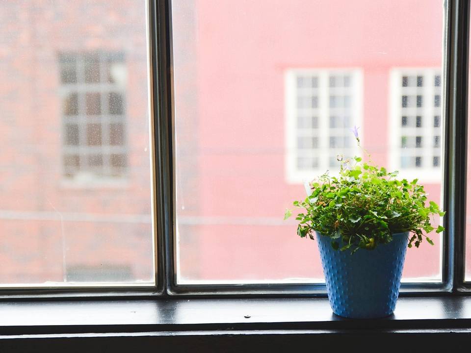 Vaso azul com planta no parapeito de uma janela de apartamento